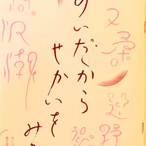 あいだからせかいをみる